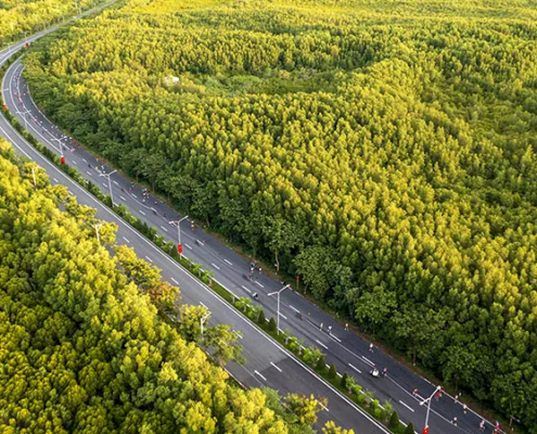Vinhomes Green Paradise Cần Giờ 9